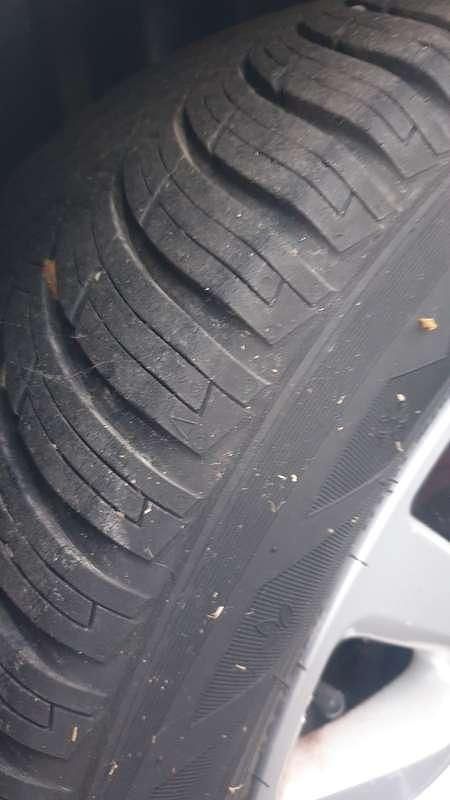 Usata Fiat 500L Business 105 CV (77 kW) 2015 Monovolume