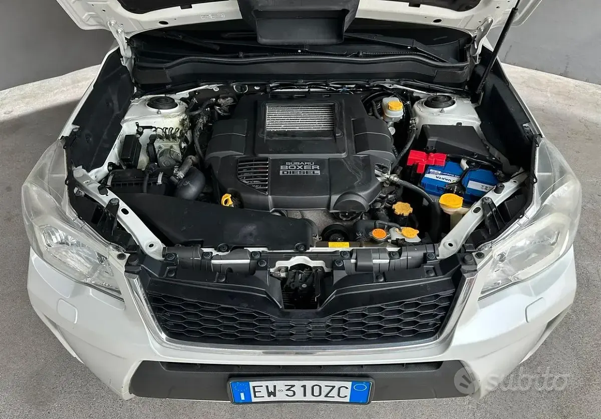 Usata Subaru Forester 147 CV (108 kW) 2014 Bianco SUV