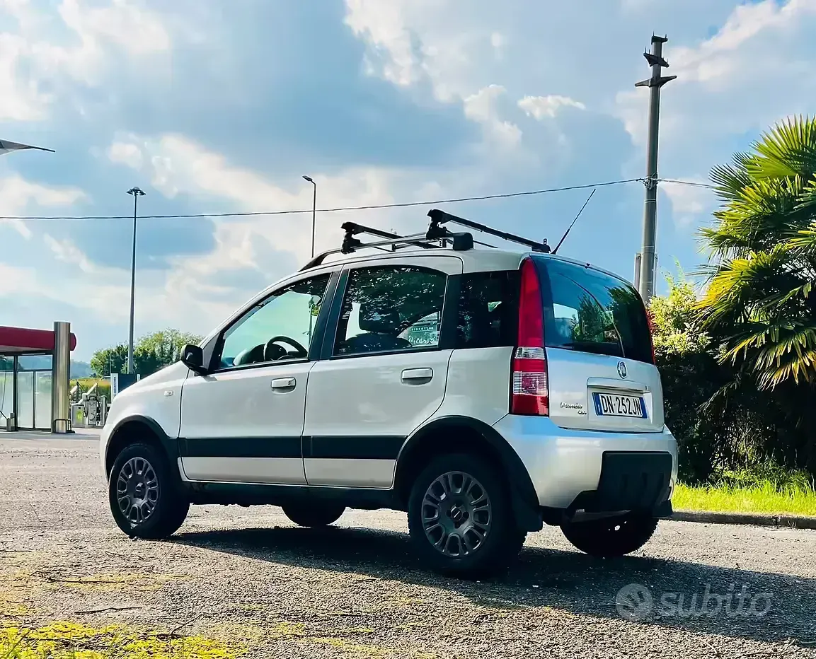 Usata Fiat Panda 4x4 60 CV (44 kW) 2008 Grigio Utilitaria