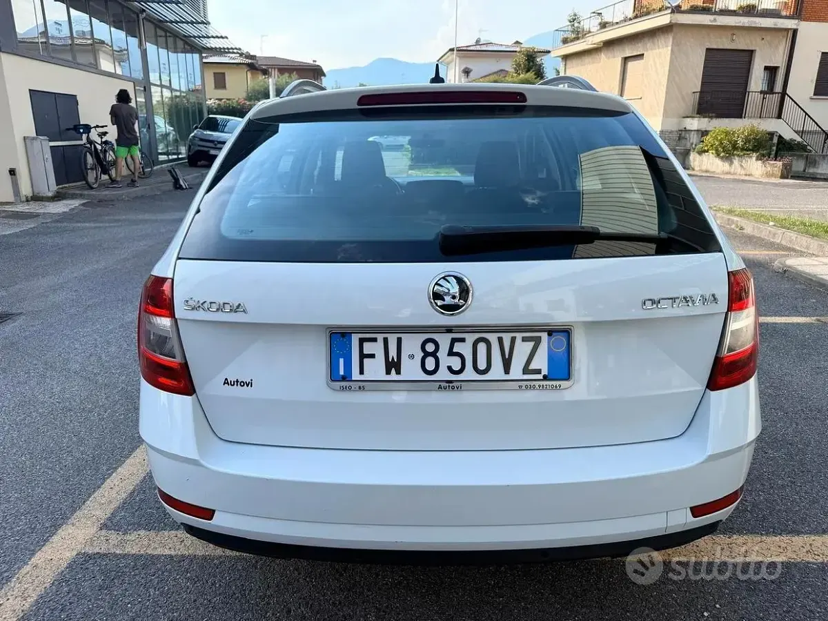Usata Skoda Octavia Executive 116 CV (85 kW) 2019 Bianco Station wagon