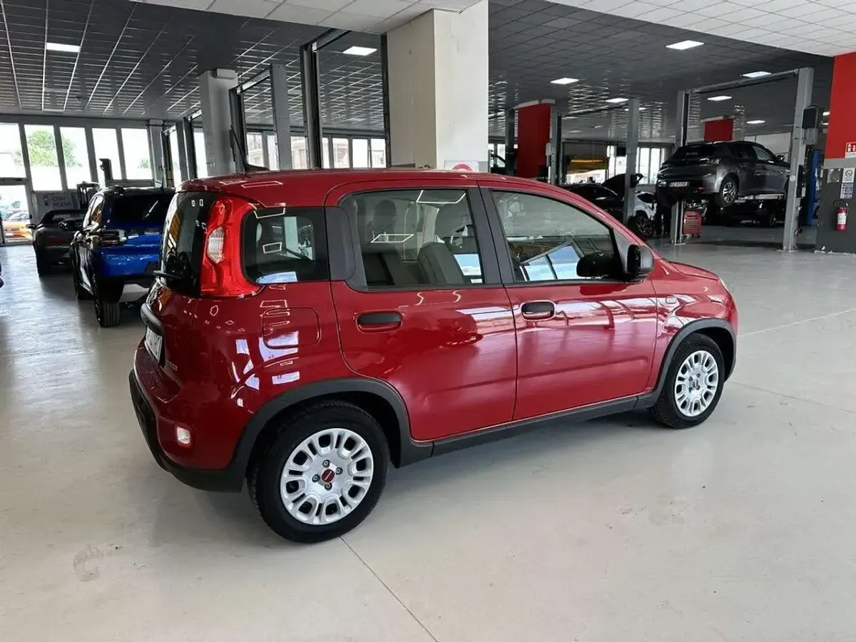 Usata Fiat Panda S 69 CV (50 kW) 2024 Rosso Utilitaria
