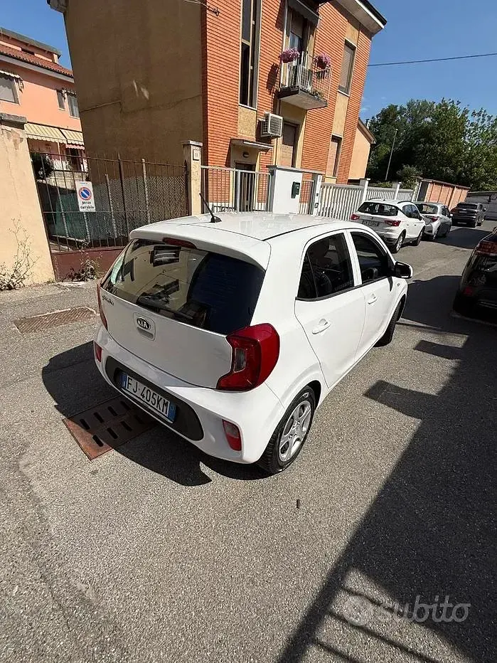 Usata Kia Picanto 67 CV (49 kW) 2017 Bianco Utilitaria