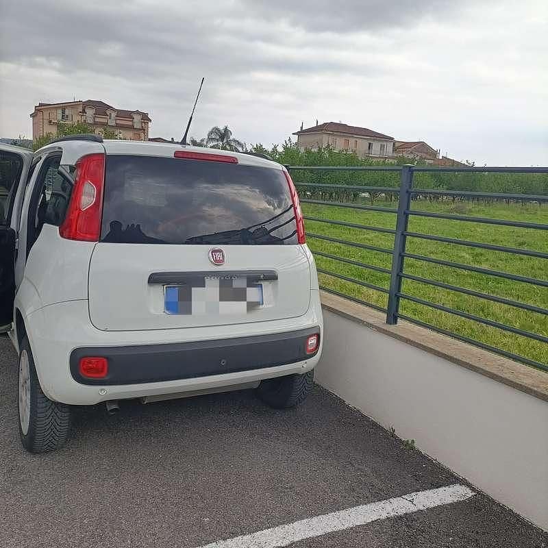Usata Fiat Panda Easy 80 CV (58 kW) 2019 Utilitaria