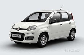 Usata Fiat Panda 70 CV (51 kW) 2016 Bianco Utilitaria