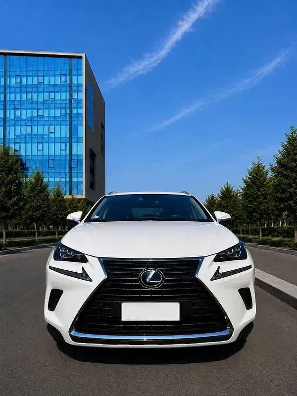 Usata Lexus NX300h E-FOUR Luxury Line 197 CV (144 kW) 2020 SUV