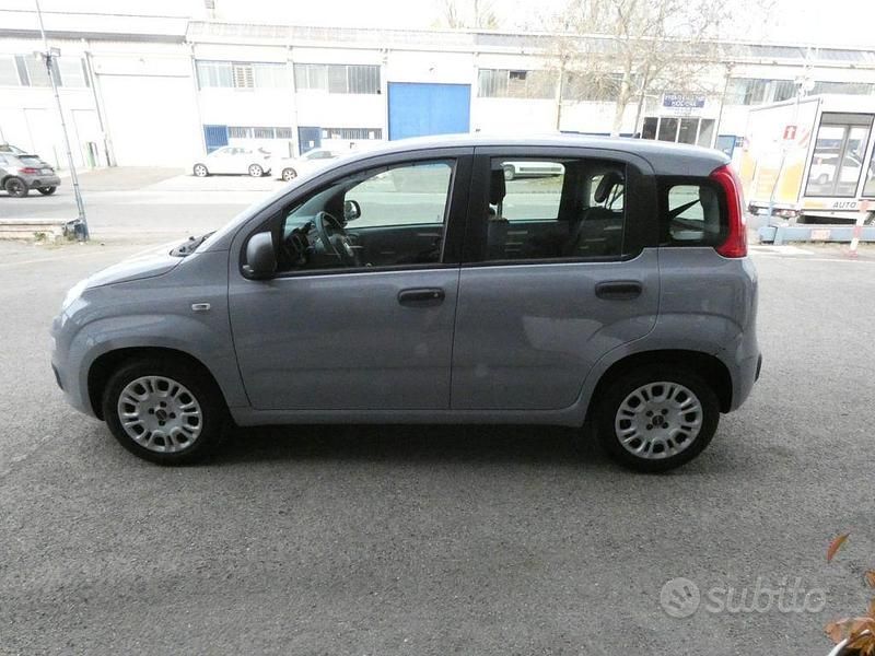 Usata Fiat Panda Easy 69 CV (50 kW) 2018 Grigio Utilitaria