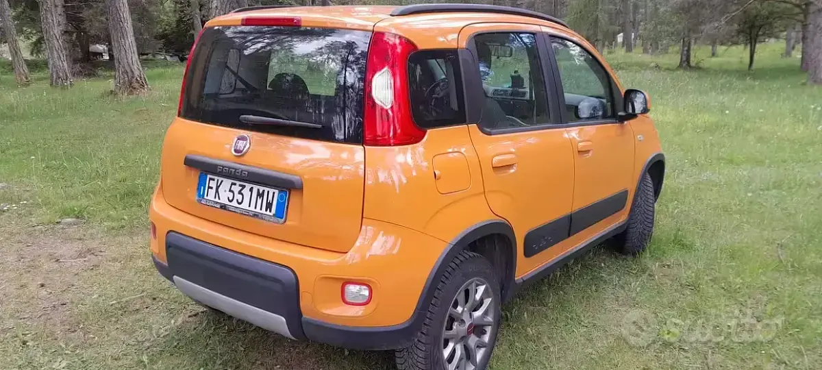 Usata Fiat Panda 4x4 85 CV (62 kW) 2017 Utilitaria