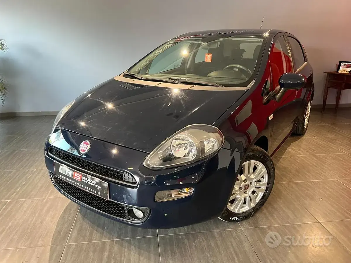Usata Fiat Punto Lounge 69 CV (50 kW) 2015 Bluazzurro Utilitaria