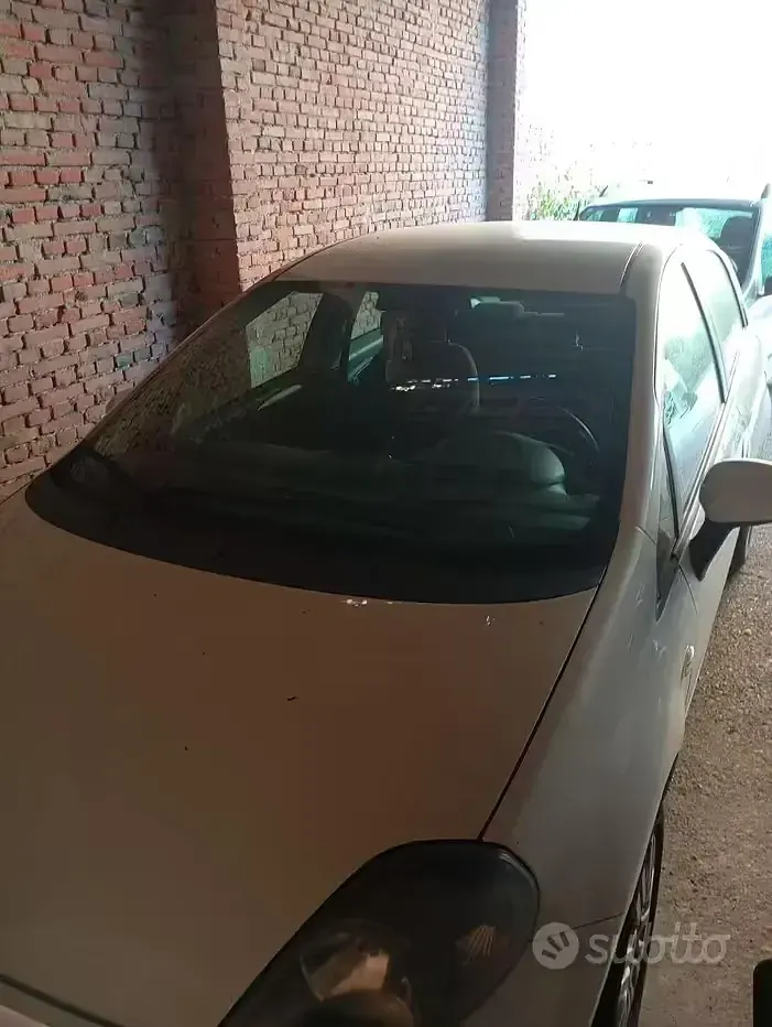 Usata Fiat Punto 75 CV (55 kW) 2014 Bianco Utilitaria