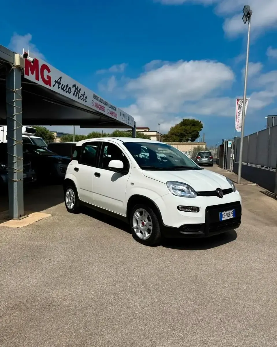 Usata Fiat Panda S 69 CV (50 kW) 2024 Bianco Utilitaria