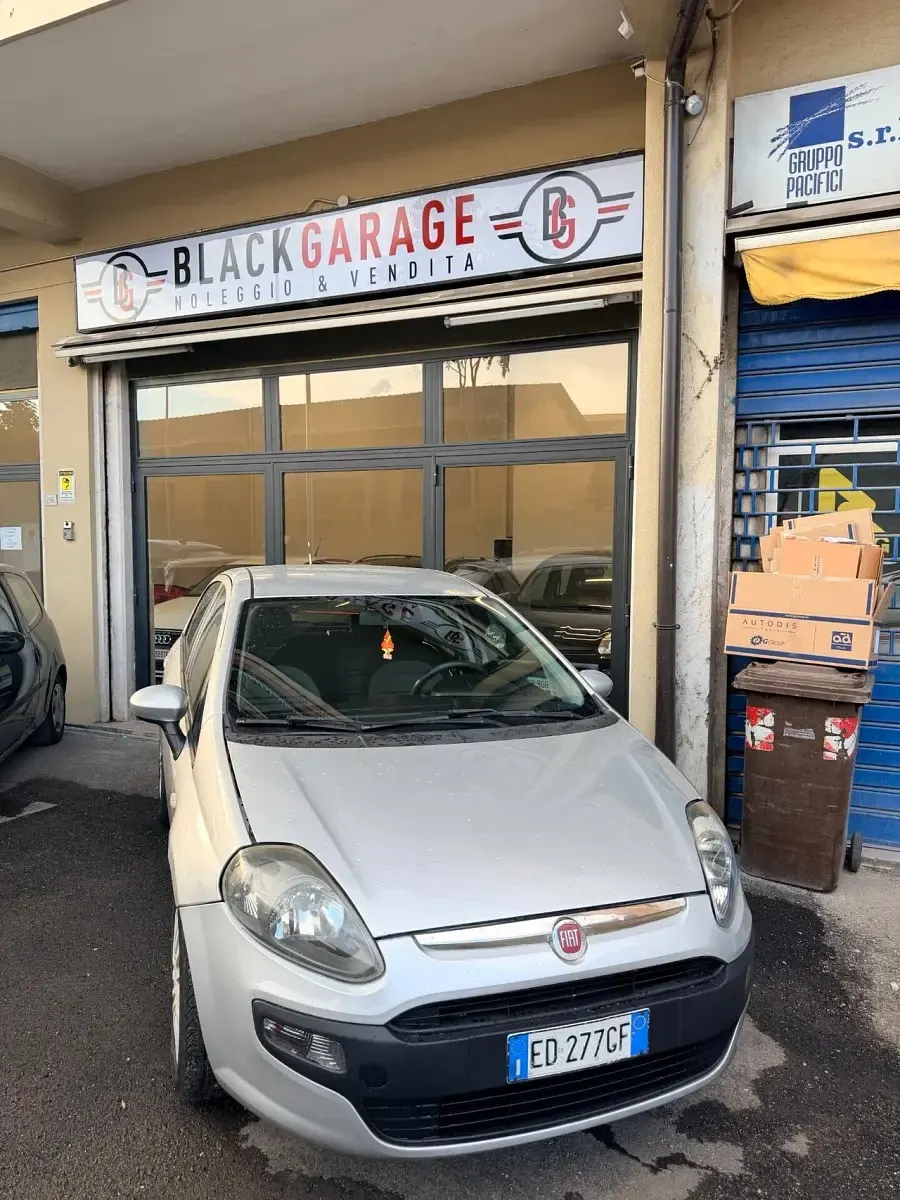 Usata Fiat Punto Evo Active 75 CV (55 kW) 2010 Utilitaria