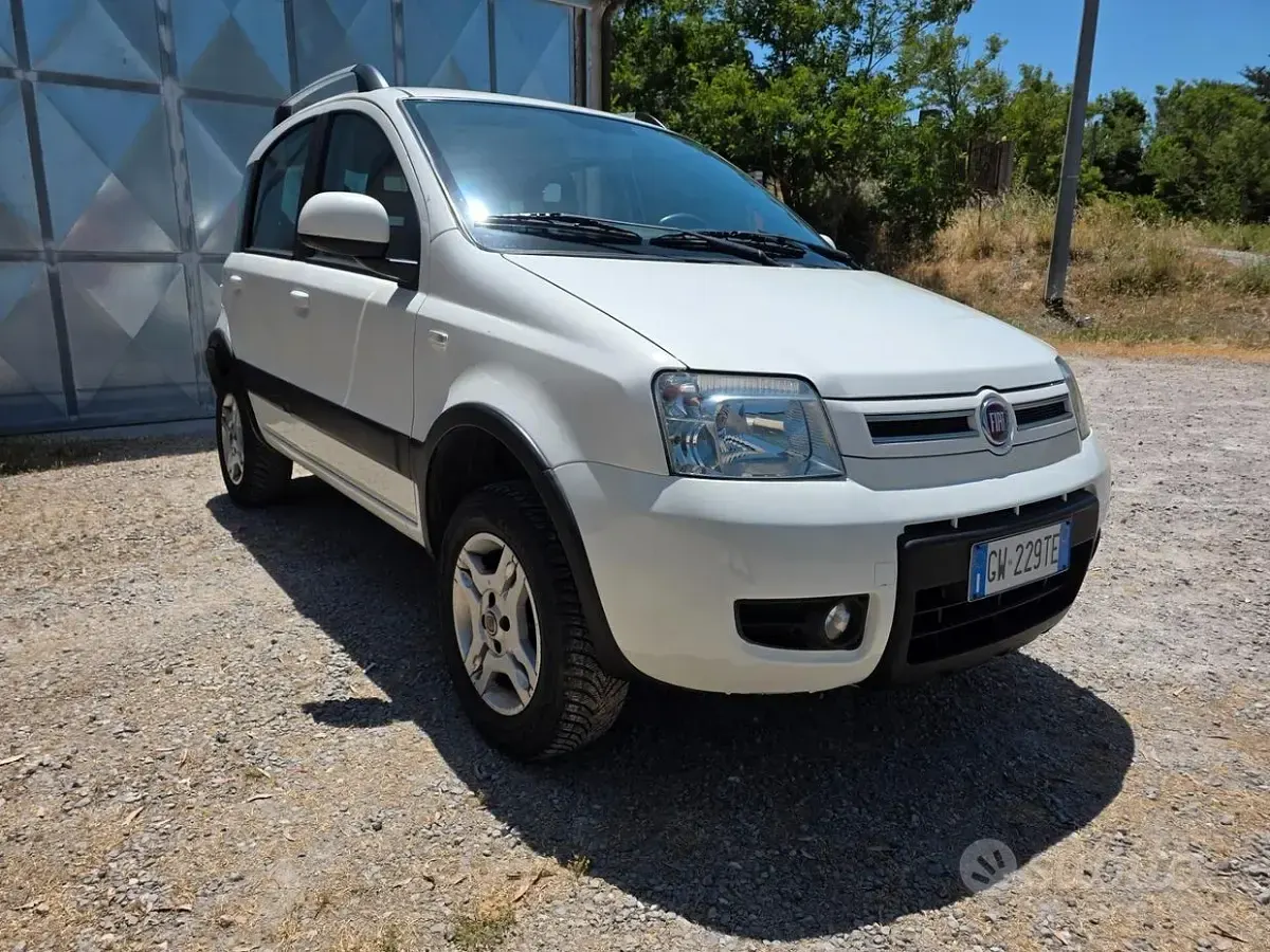 Usata Fiat Panda 4x4 Climbing 75 CV (55 kW) 2012 Bianco Utilitaria