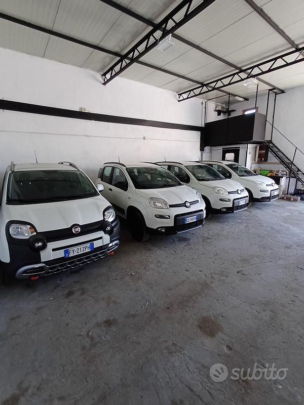 Usata Fiat Panda 4x4 85 CV (62 kW) 2020 Bianco Utilitaria