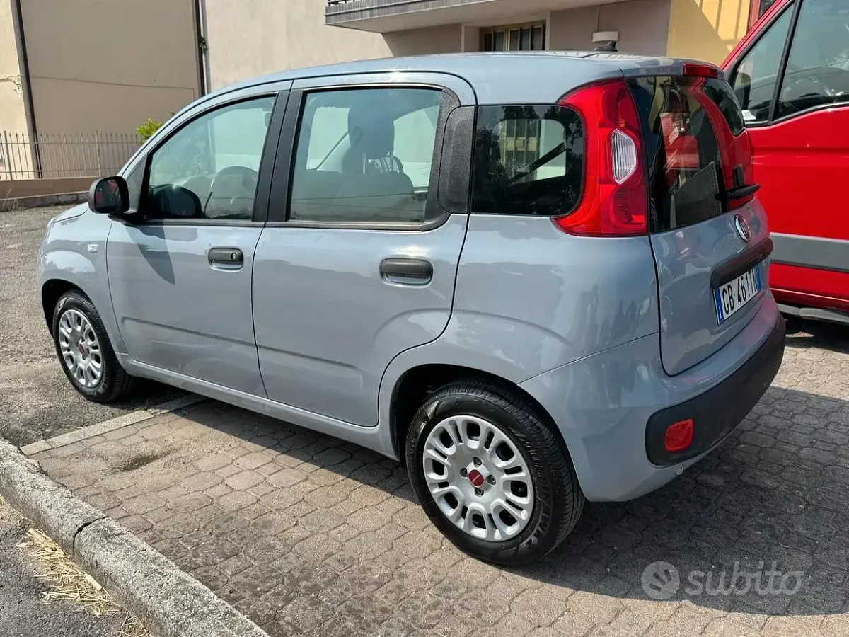 Usata Fiat Panda Easy 69 CV (50 kW) 2020 Grigio Utilitaria