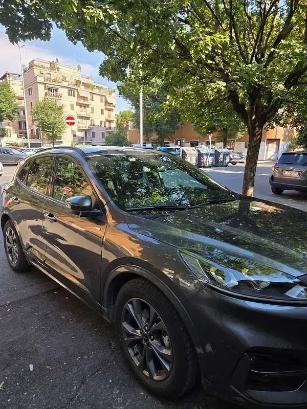 Usata Ford Kuga ST-Line 152 CV (111 kW) 2023 Grigio SUV