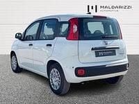 Nuova Fiat Panda Icon 65 CV (47 kW) 2026 Bianco Utilitaria