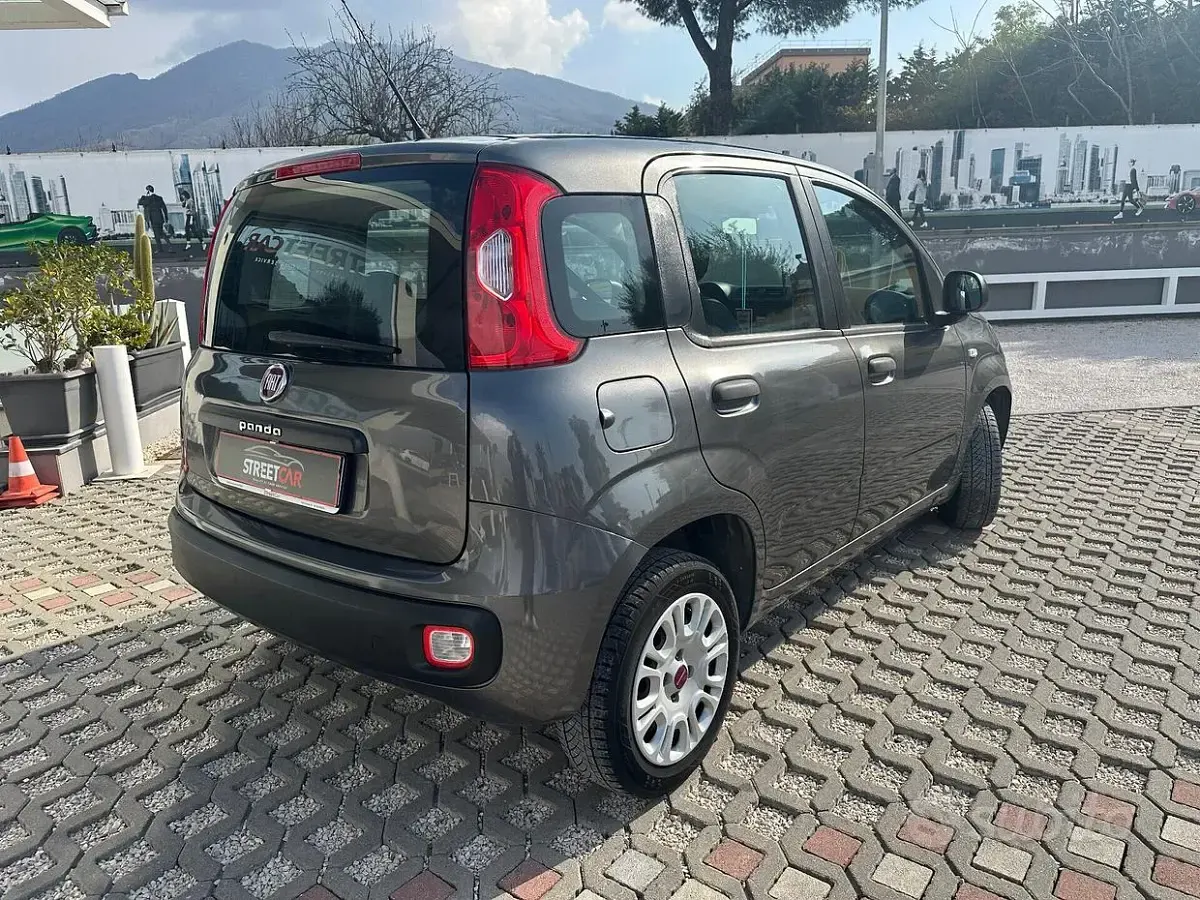 Usata Fiat Panda Easy 69 CV (50 kW) 2019 Grigio Utilitaria
