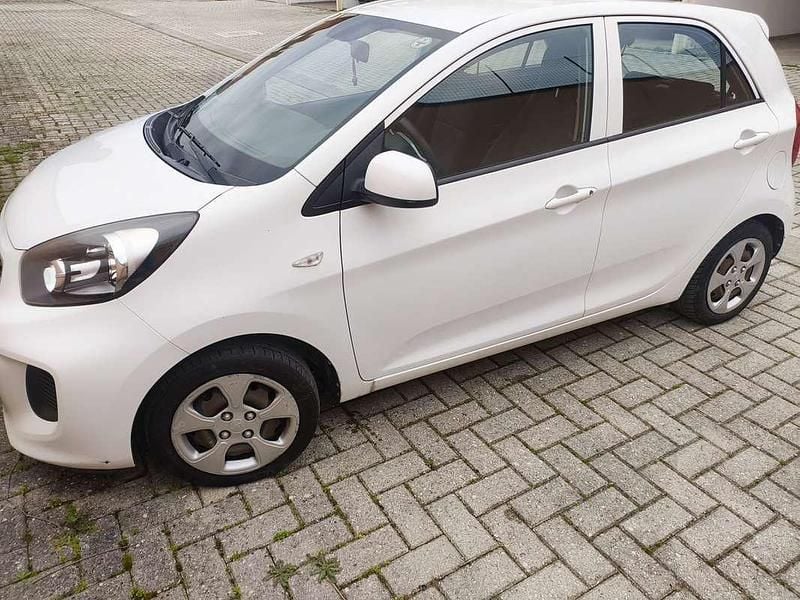 Usata Kia Picanto City 67 CV (49 kW) 2016 Bianco Utilitaria