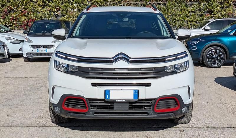 Usata Citroën C5 Shine 131 CV (96 kW) 2019 Bianco Monovolume