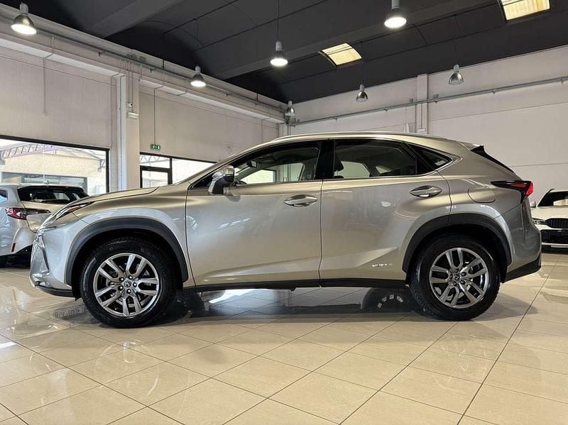 Usata Lexus NX300h Business Edition 155 CV (114 kW) 2019 Bronzo SUV