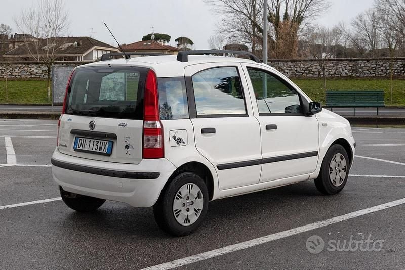 Usata Fiat Panda Dynamic 60 CV (44 kW) 2008 Bianco Utilitaria