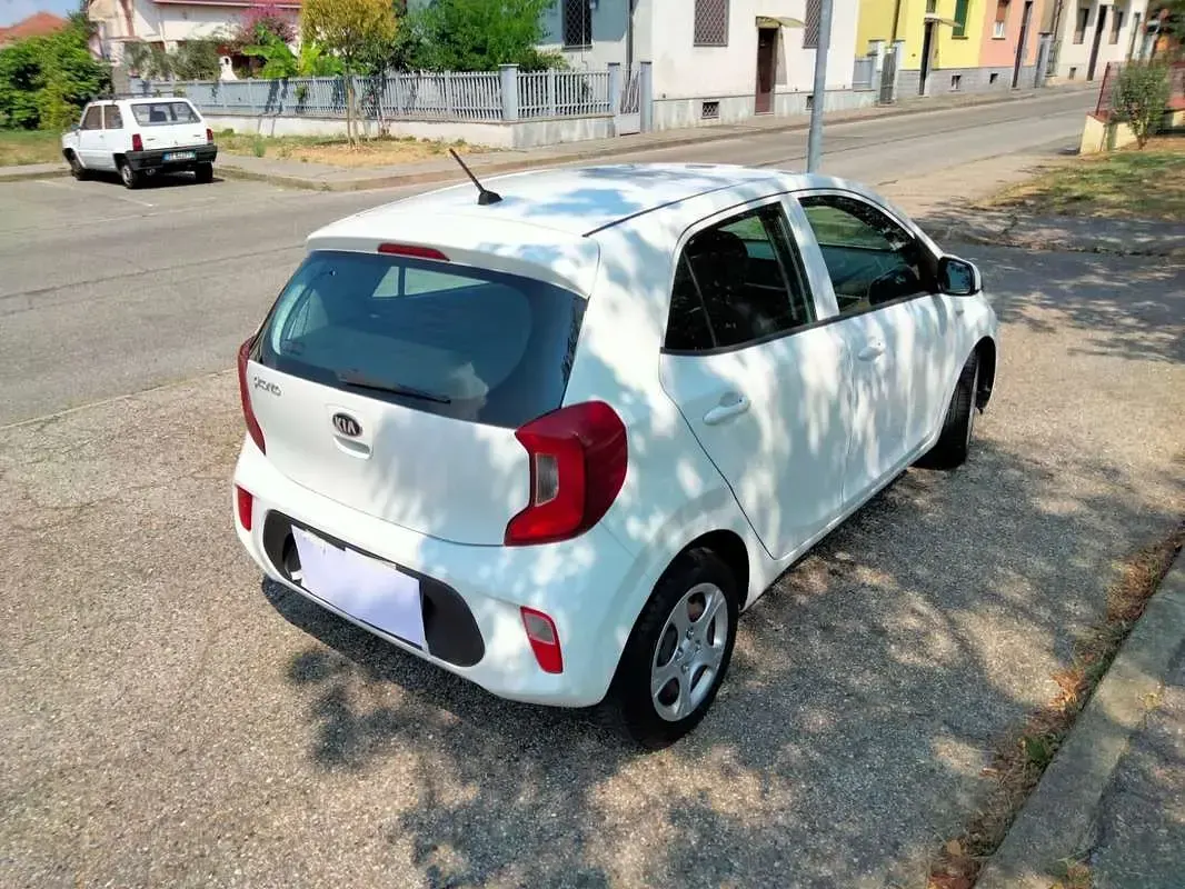 Usata Kia Picanto Active 67 CV (49 kW) 2018 Utilitaria