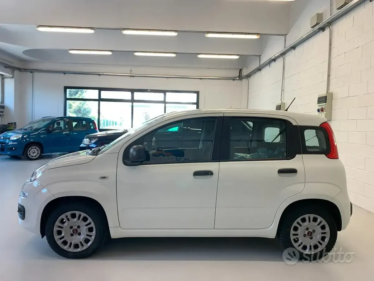 Usata Fiat Panda Easy 69 CV (50 kW) 2019 Bianco Utilitaria