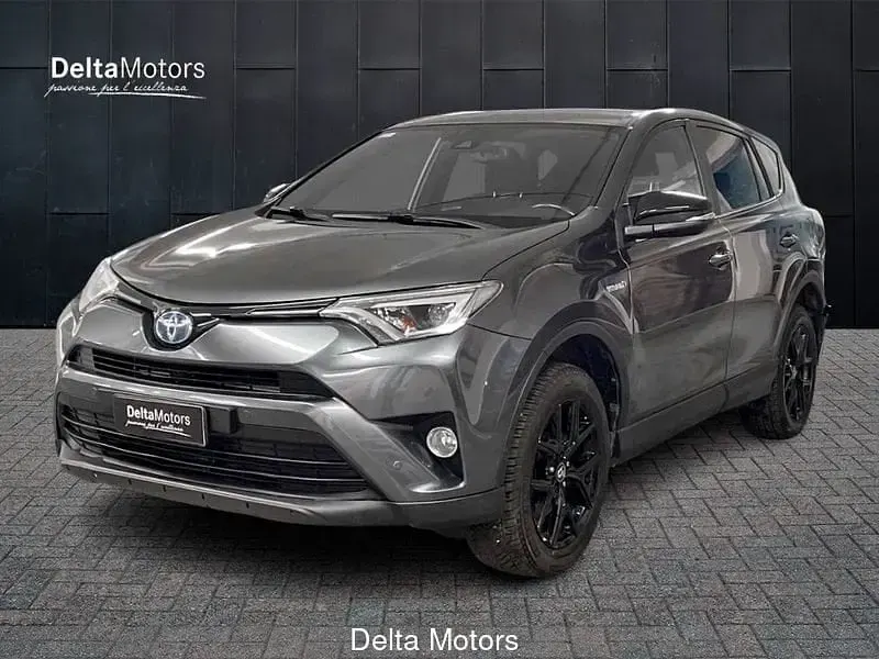Usata Toyota RAV4 Hybrid 197 CV (144 kW) 2018 SUV