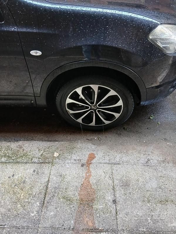 Usata Nissan Qashqai 115 CV (84 kW) 2012 SUV