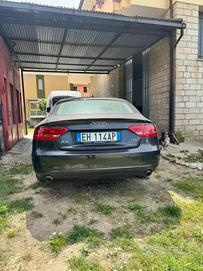 Usata Audi A5 Sportback 190 CV (139 kW) 2011 Utilitaria