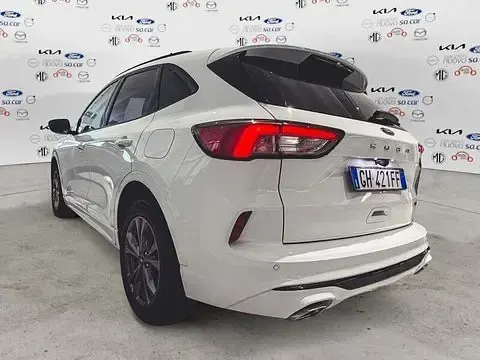 Usata Ford Kuga ST-Line 190 CV (139 kW) 2022 Frozen white SUV