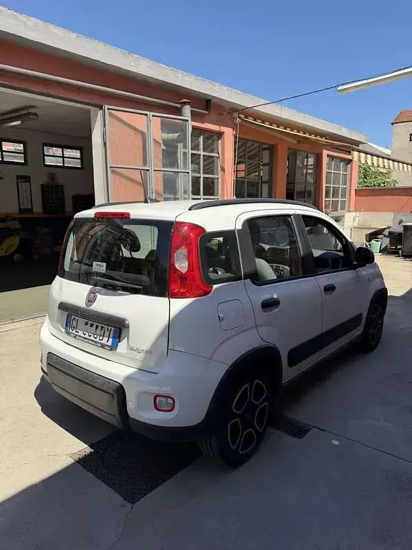 Usata Fiat Panda City Life 69 CV (50 kW) 2022 Utilitaria