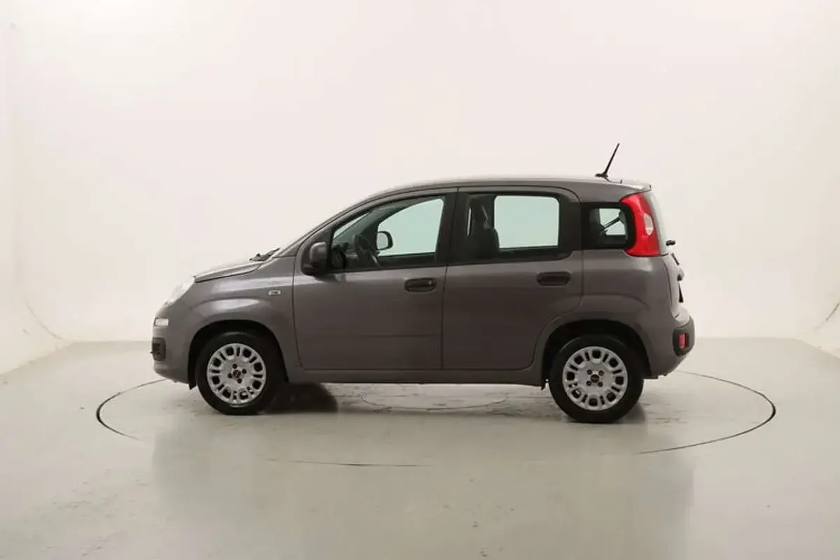 Usata Fiat Panda Easy 69 CV (50 kW) 2021 Antracite Utilitaria