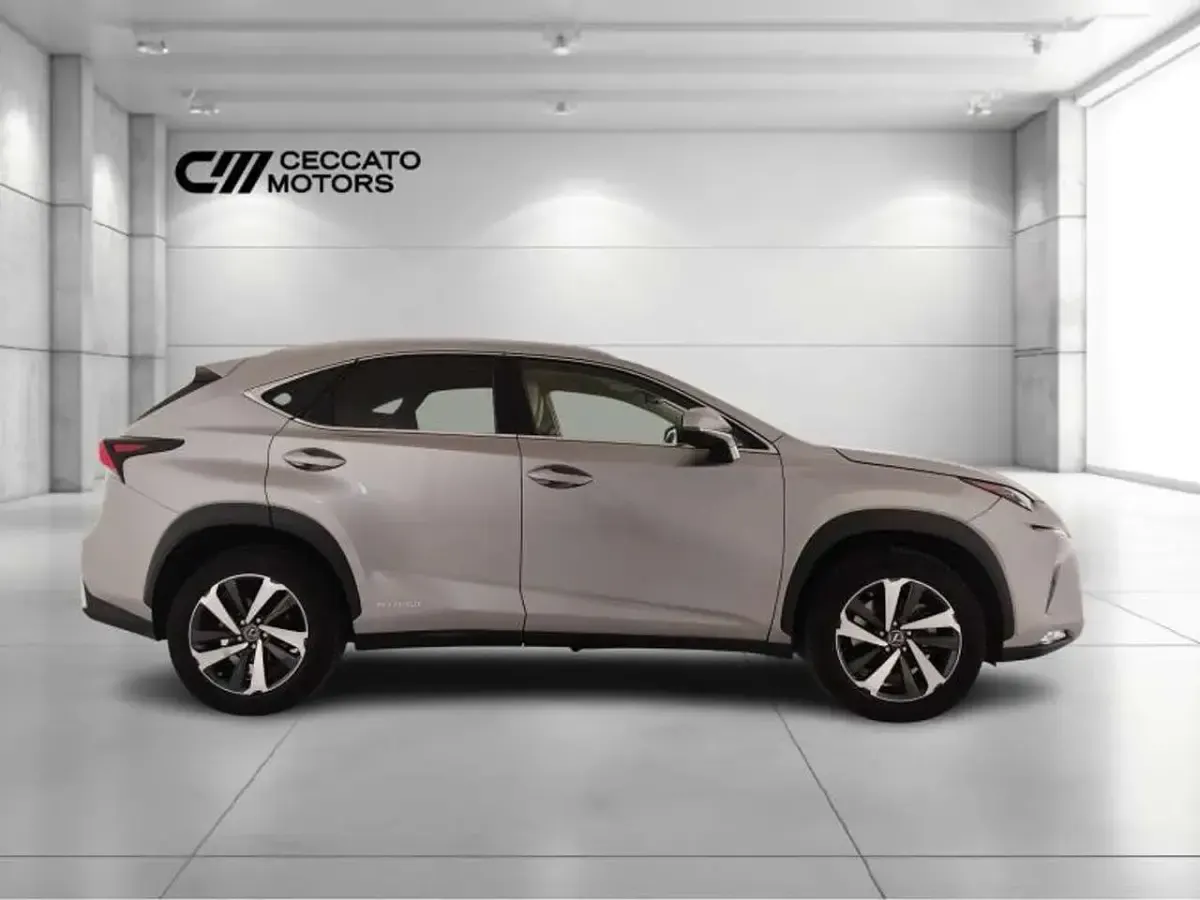 Usata Lexus NX300h Luxury Line 197 CV (144 kW) 2018 Grigio SUV