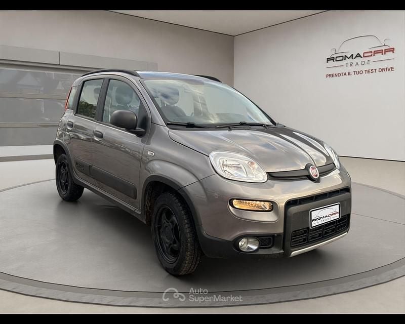 Usata Fiat Panda 4x4 S 86 CV (63 kW) 2020 Grigio Utilitaria
