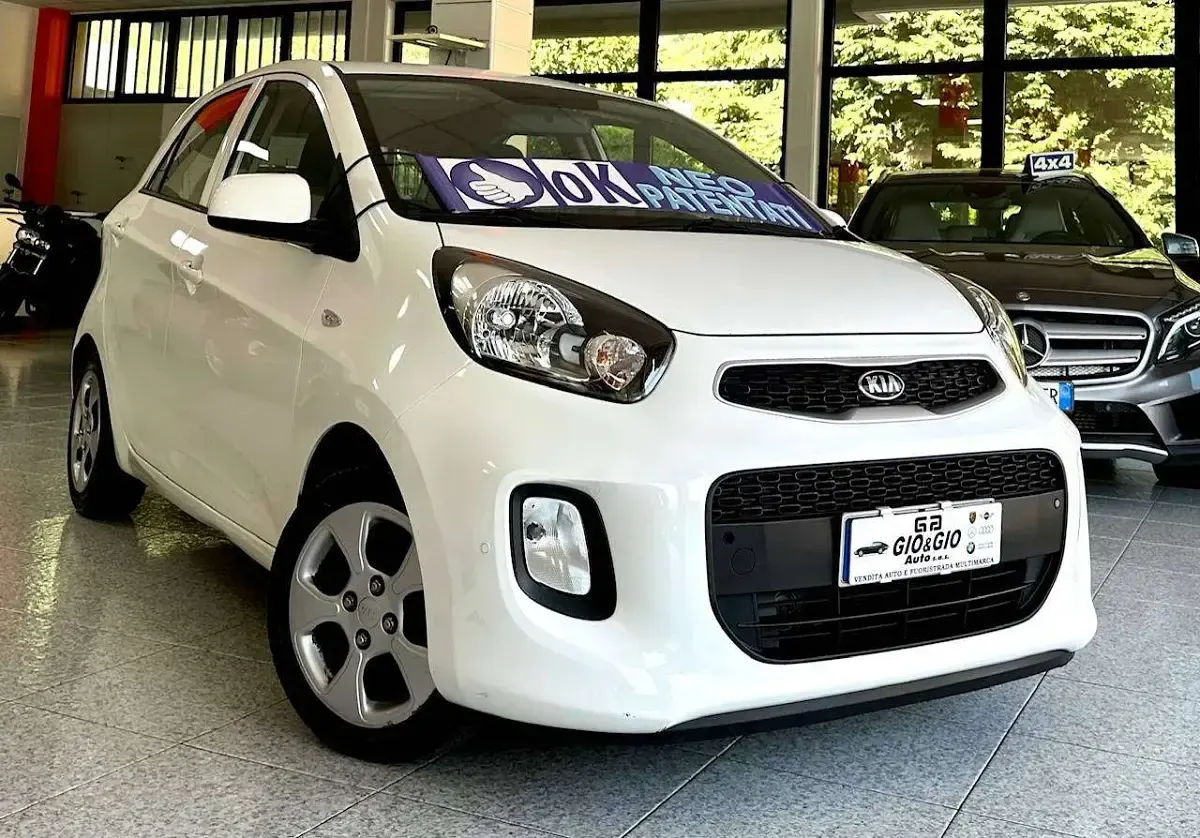 Usata Kia Picanto Active 65 CV (47 kW) 2016 Bianco Utilitaria