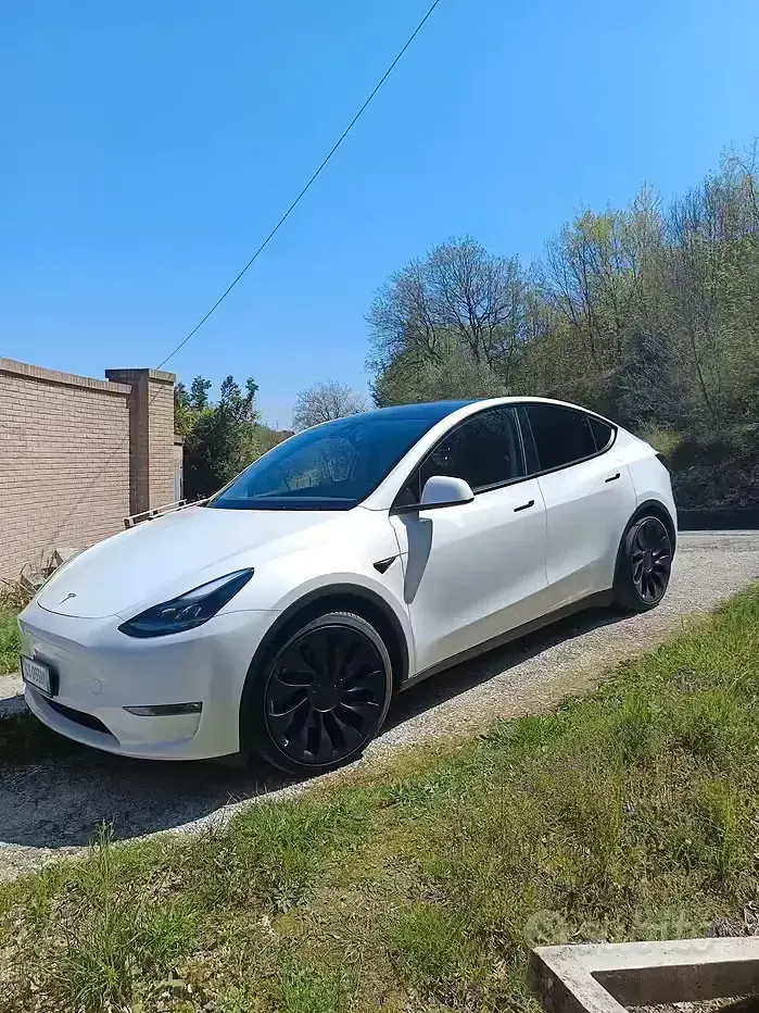 Occasion Tesla Model Y Performance 185 kW (252 ch) 2023 SUV