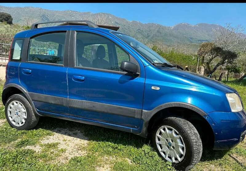 Venduto Fiat Panda 4x4 1.2 Climbing - auto usate in vendita