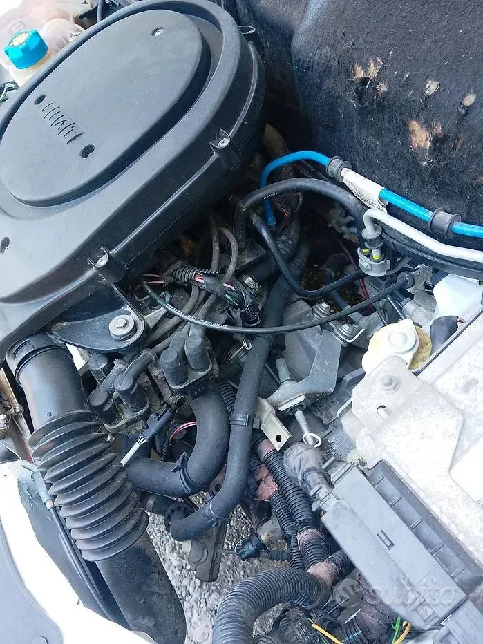 Usata Fiat 600 54 CV (39 kW) 2004 Berlina
