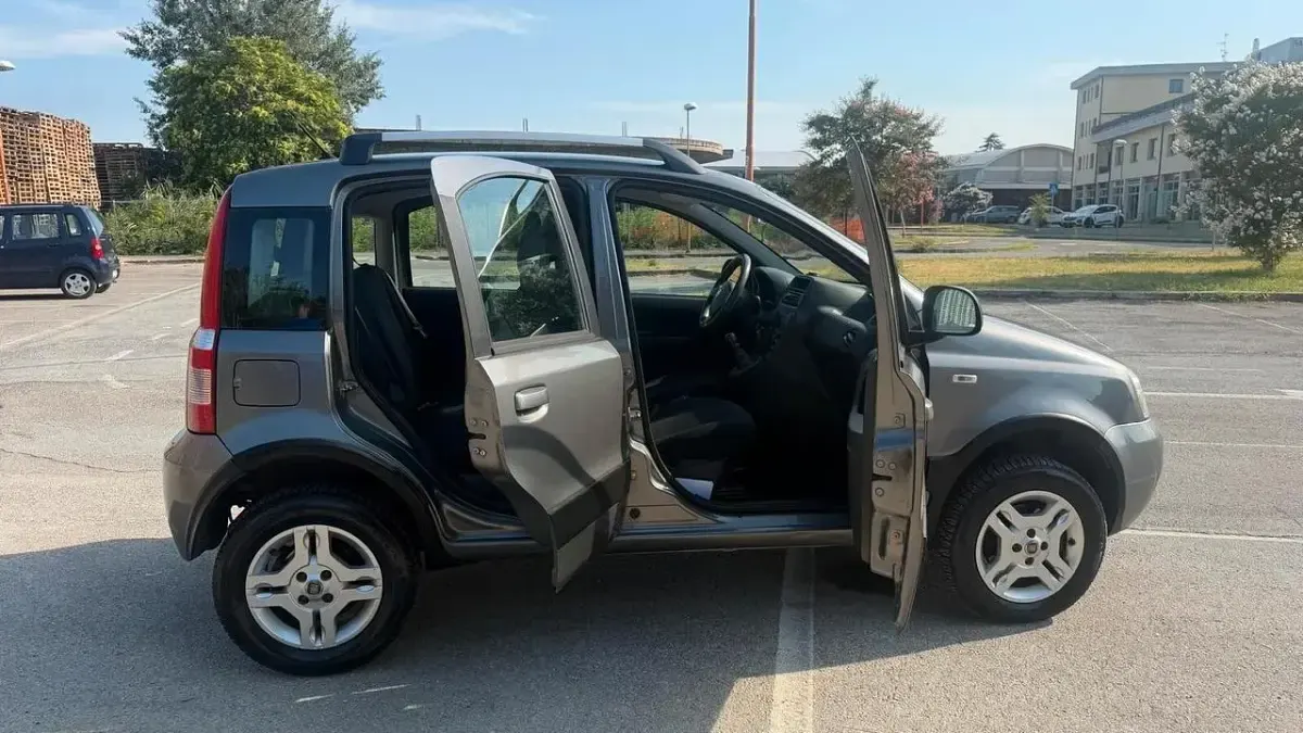 Usata Fiat Panda 4x4 Climbing 75 CV (55 kW) 2011 Grigio Utilitaria