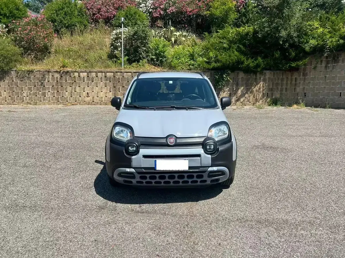 Usata Fiat Panda Cross Cross 69 CV (50 kW) 2021 Grigio Utilitaria
