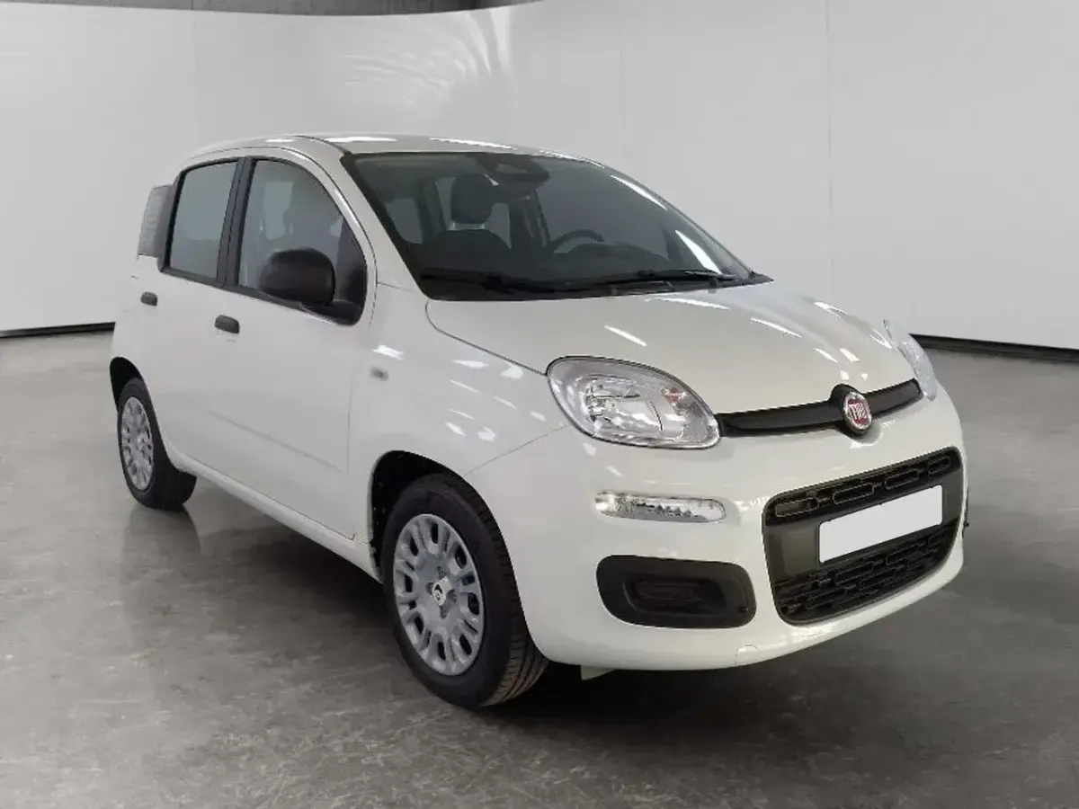 Nuova Fiat Panda Icon 70 CV (51 kW) 2025 Bianco Utilitaria
