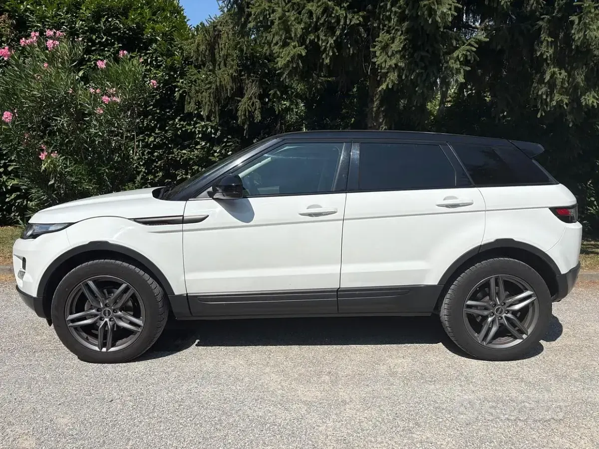 Usata Land Rover Range Rover evoque Pure 150 CV (110 kW) 2013 Bianco SUV