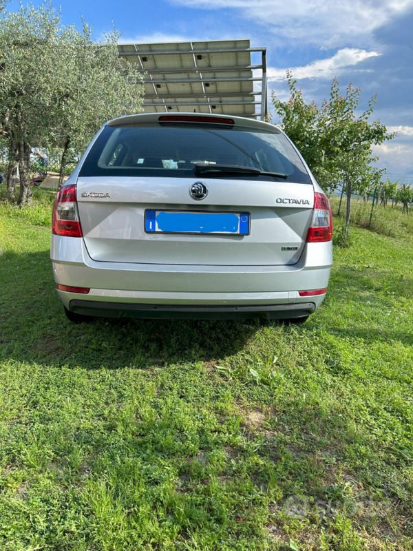 Usata Skoda Octavia 131 CV (96 kW) 2020 Grigio Station wagon