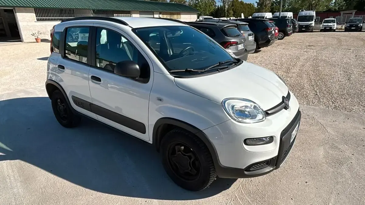 Usata Fiat Panda 4x4 S 85 CV (62 kW) 2020 Bianco Utilitaria