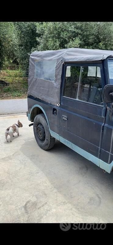Usata Fiat Campagnola 80 CV (58 kW) 1990 Blu SUV