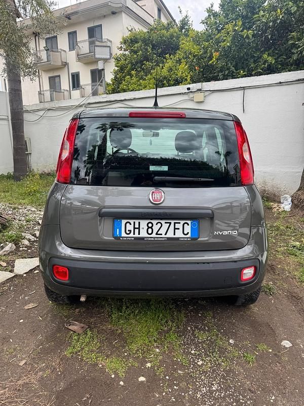 Usata Fiat Panda S 70 CV (51 kW) 2021 Grigio Utilitaria