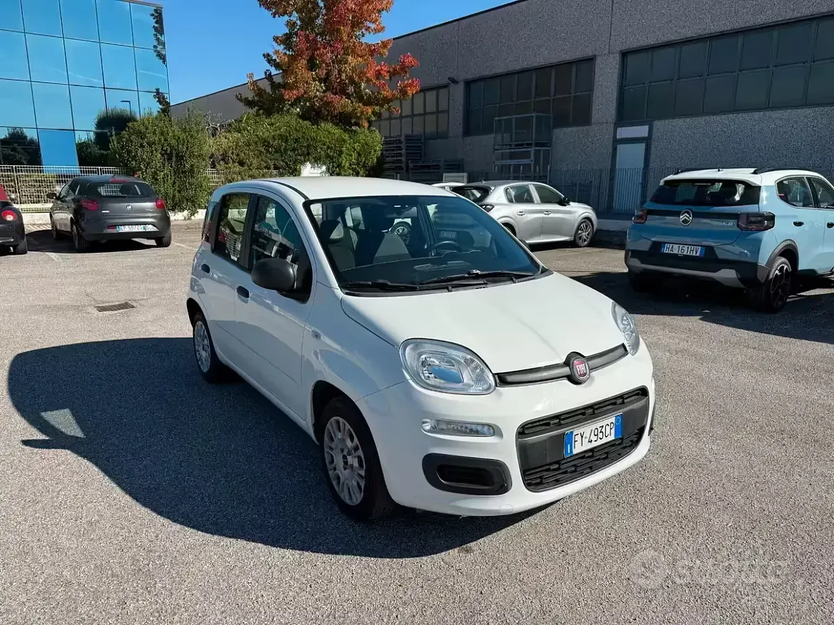 Usata Fiat Panda Easy 69 CV (50 kW) 2019 Bianco Utilitaria