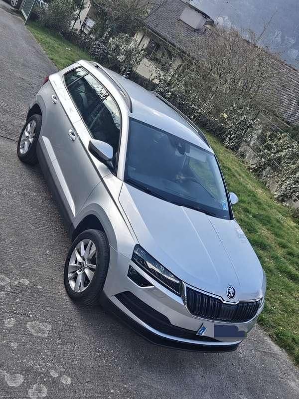 Usata Skoda Karoq Executive 116 CV (85 kW) 2020 SUV