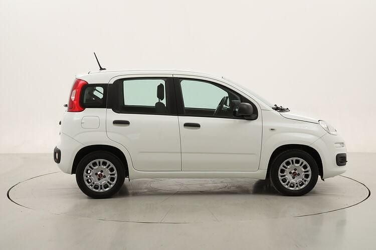 Usata Fiat Panda Easy 69 CV (50 kW) 2020 Utilitaria